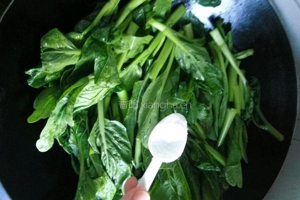 蒜蓉炒油菜的做法图解4