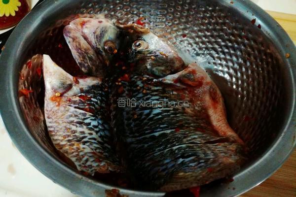 豆花烤鱼的做法图解4