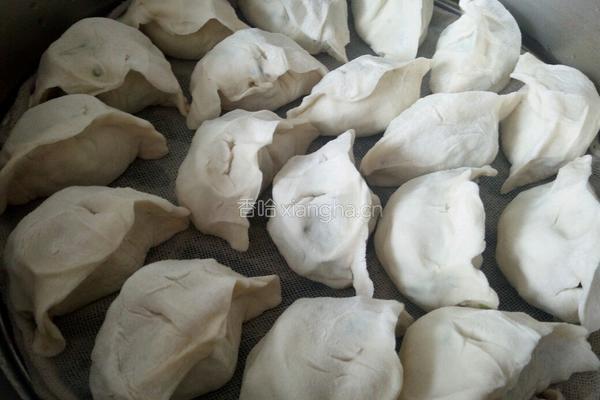 蒜苔猪肉馅蒸饺的做法图解13