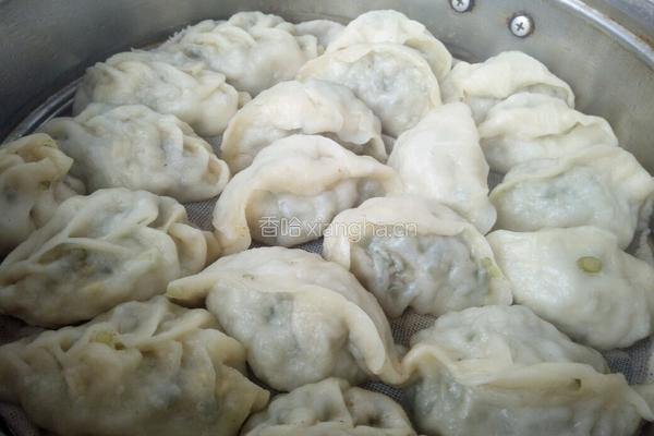 蒜苔猪肉馅蒸饺的做法图解15