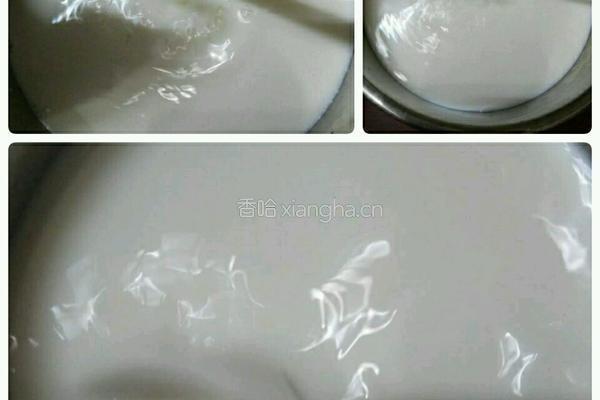 原味酸奶的做法图解2