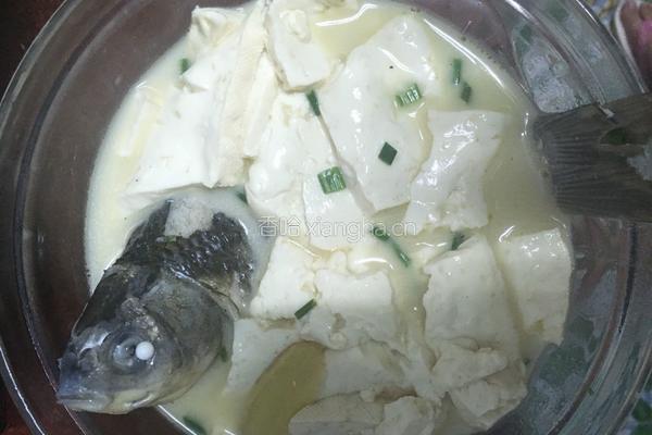 鲫鱼豆腐汤