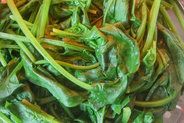 美味的菠菜皮芹菜饺子的做法图解3