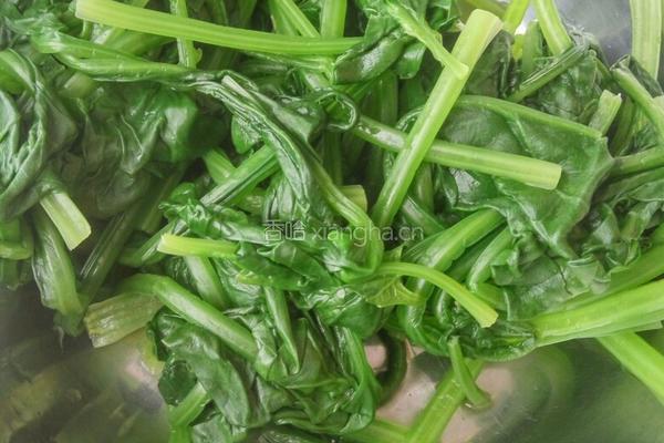 美味的菠菜皮芹菜饺子的做法图解5