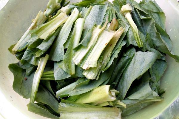 苦麦菜汤的做法图解1