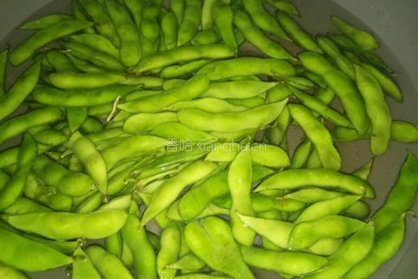 煮毛豆的做法图解1