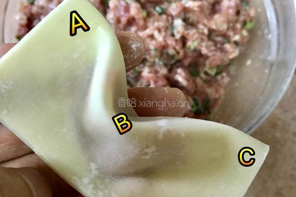 元宝抄手的做法图解12