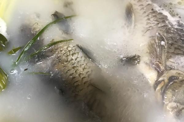 鲫鱼汤的做法图解9