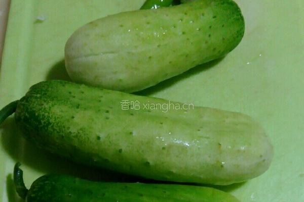 凉拌黄瓜的做法图解1