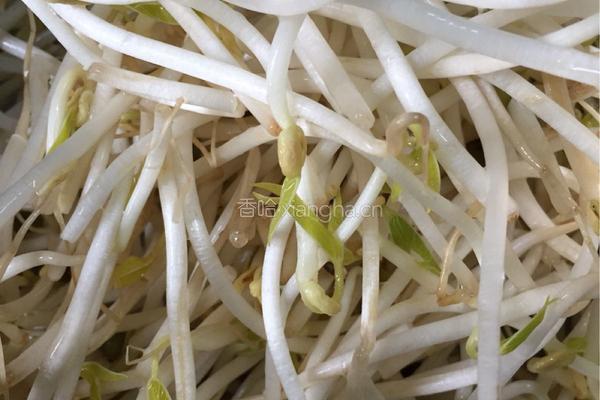 豆芽炒韭菜的做法图解2