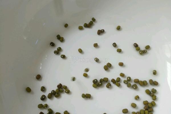 夏日解暑绿豆汤的做法图解1