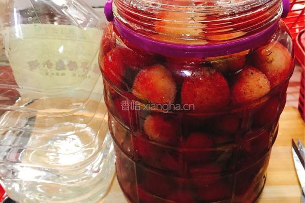 泡白杨梅酒的做法图解4