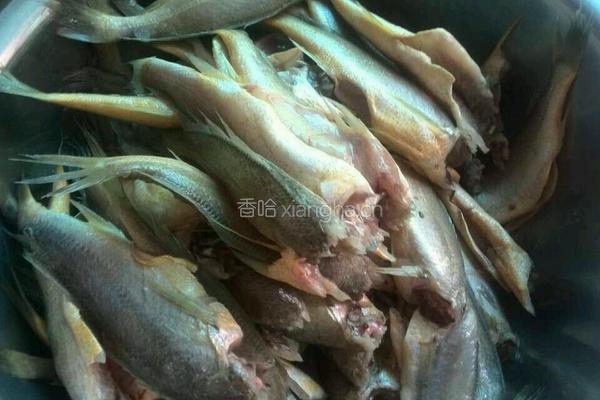 黄花鱼罐头的做法图解1