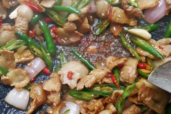 青椒炒肉的做法图解4