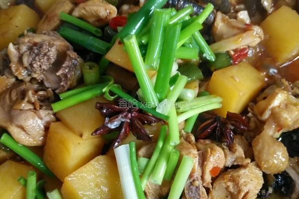 土豆烧鸡的做法图解5