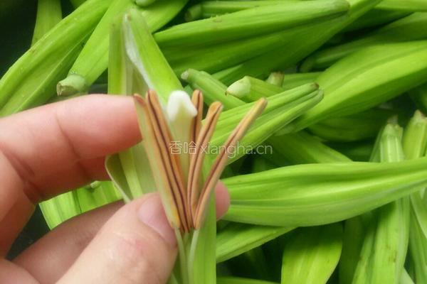 清炒百合花的做法图解2