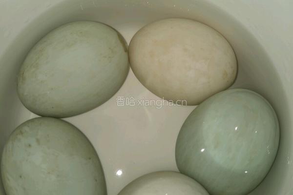 自制咸鸭蛋的做法图解2