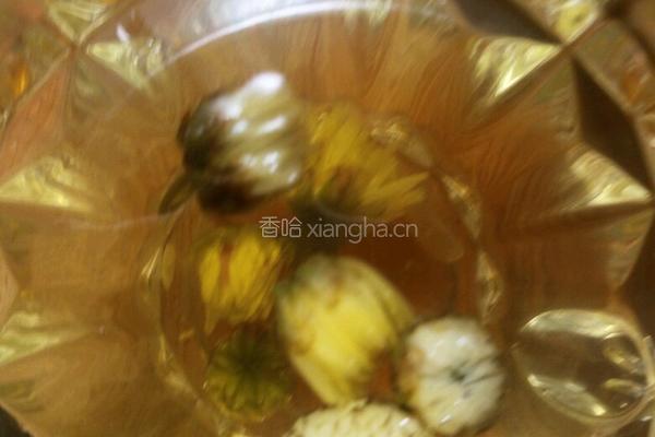 菊花蜂蜜茶的做法图解7