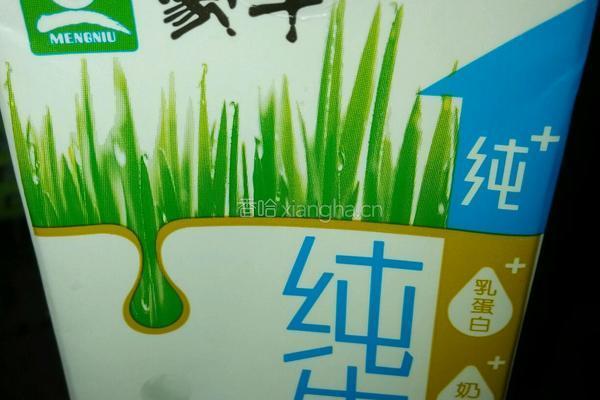 芒果雪糕的做法图解2