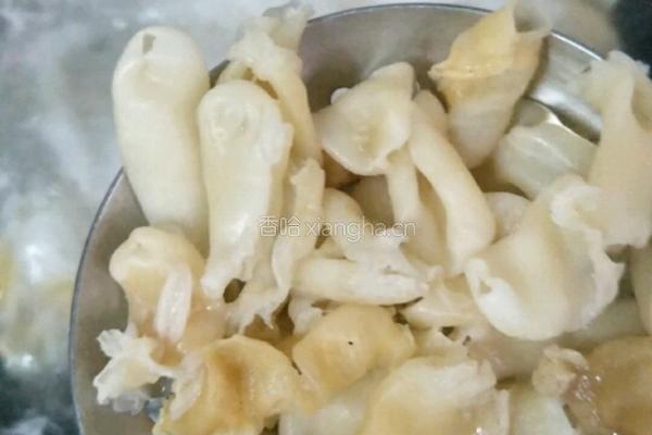 花胶虫草花炖白鸽的做法图解1