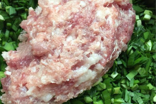 韭菜肉沫饺子的做法图解3