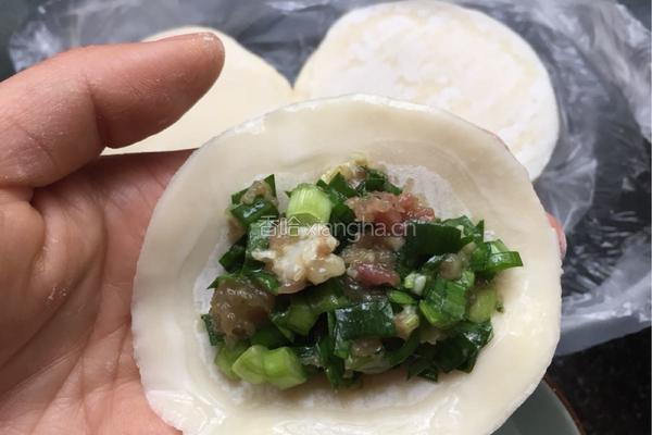 韭菜肉沫饺子的做法图解7