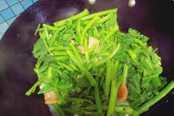 油渣南瓜苗的做法图解9