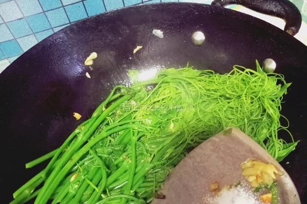 蒜炒佛手瓜苗的做法图解6