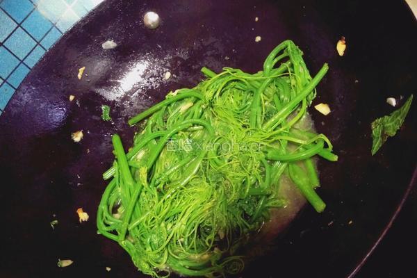 蒜炒佛手瓜苗的做法图解7