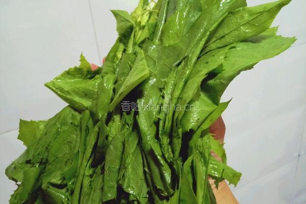 上汤苦麻菜的做法图解1