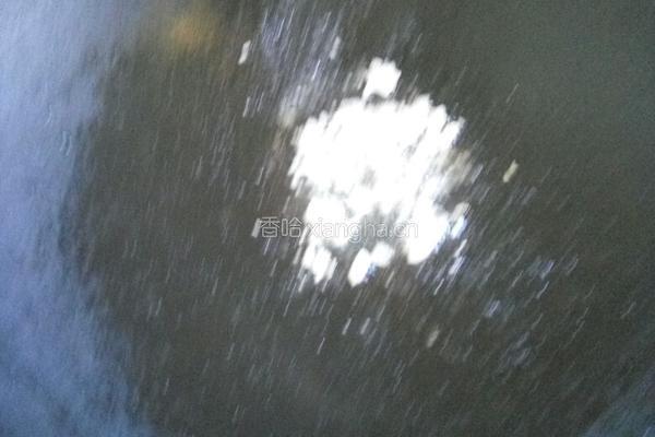 盐水南瓜苗的做法图解5