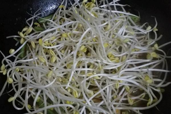 豆角焖面的做法图解12