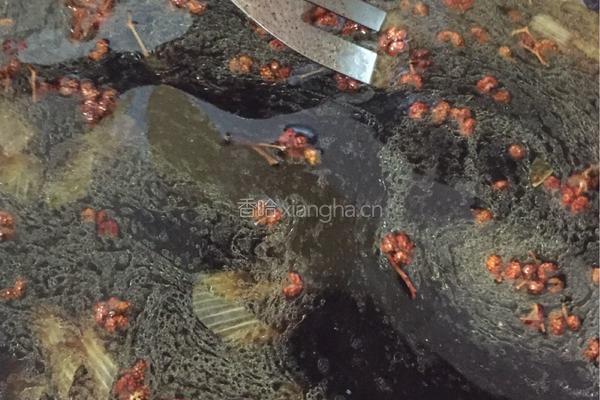 家常酱大骨的做法图解10