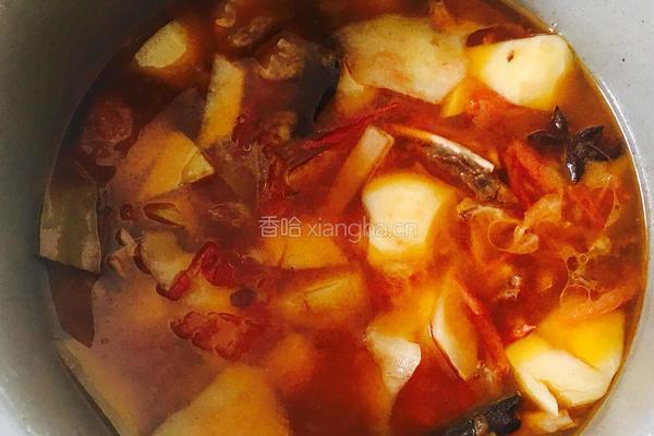 土豆番茄炖牛肉的做法图解19