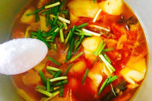 土豆番茄炖牛肉的做法图解20