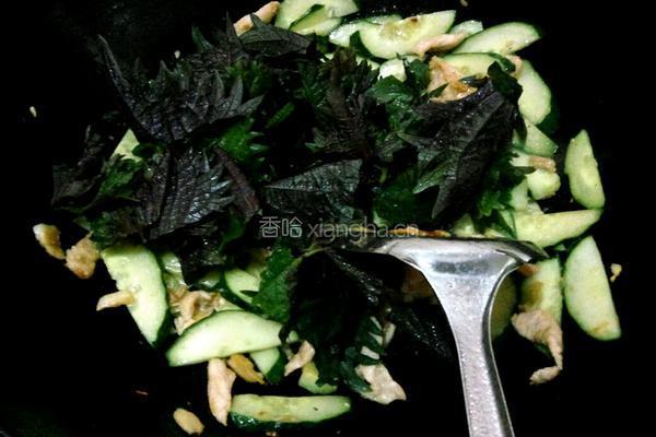 紫苏黄瓜炒肉的做法图解7