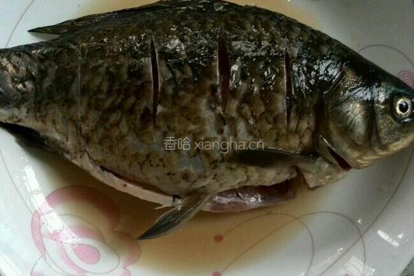 凉拌鲫鱼的做法图解1