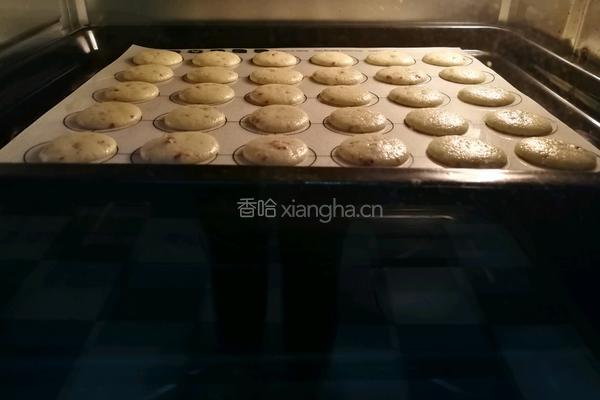 蔓越莓干薄脆饼的做法图解6