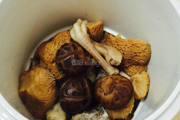 双菇枸杞猪骨炖汤的做法图解6