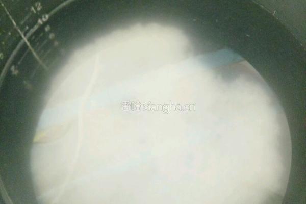 玉米胡萝卜瘦肉粥的做法图解3