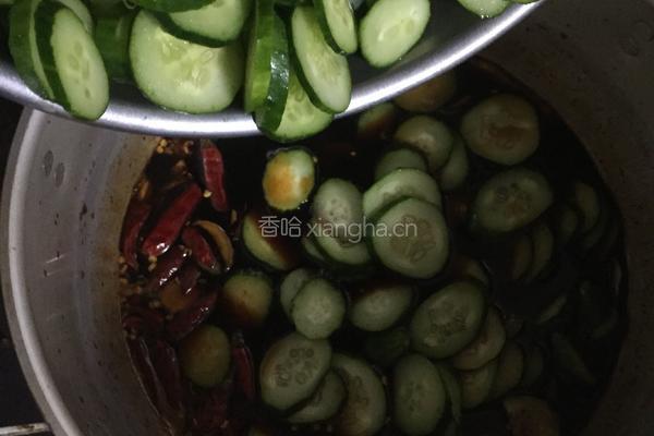 脆皮黄瓜的做法图解6