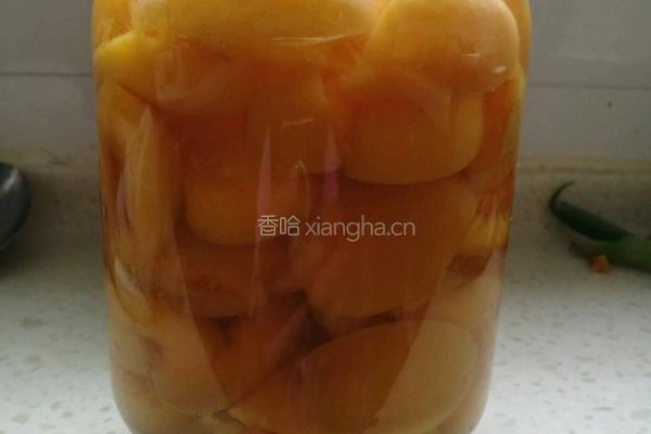 黄杏罐头