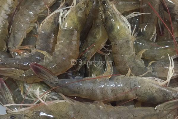 白灼虾的做法图解2