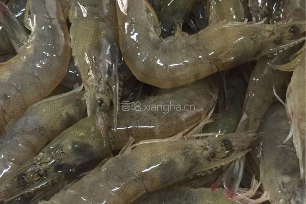 白灼虾的做法图解4