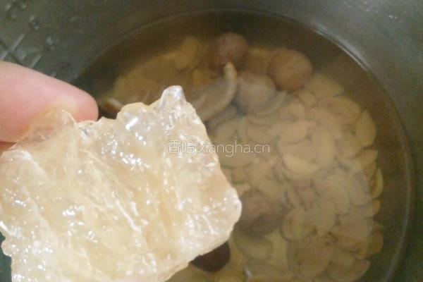 润肺止咳一四物汤的做法图解5