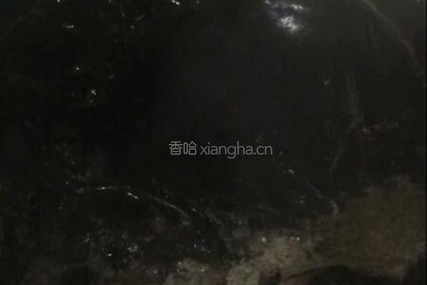 仙草冻的做法图解4