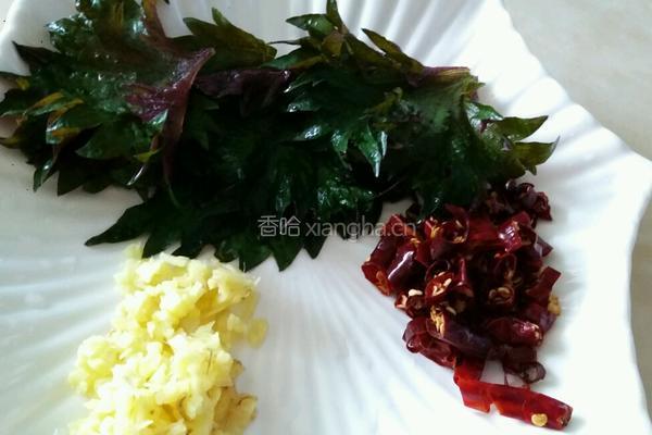 紫苏红烧鱼的做法图解1