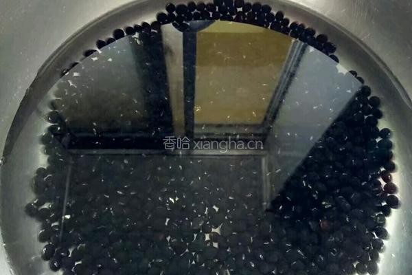 自发黑豆芽的做法图解2