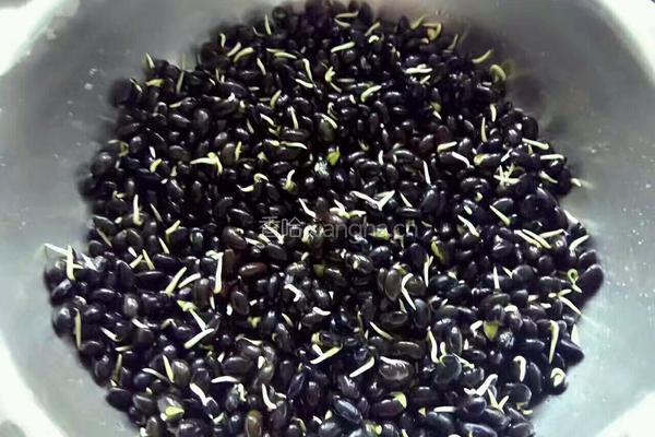 自发黑豆芽的做法图解6