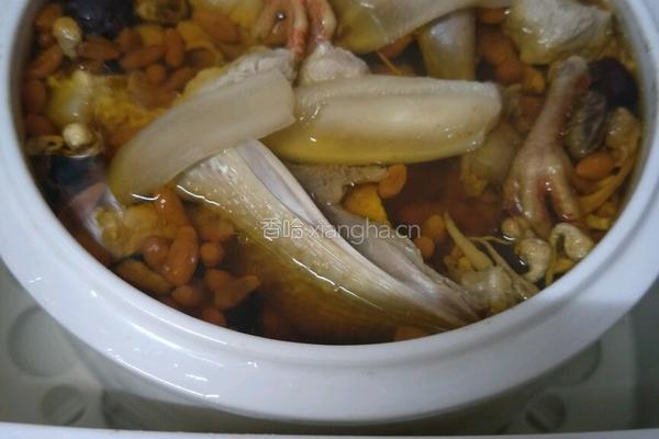 花胶炖白鸽的做法图解4